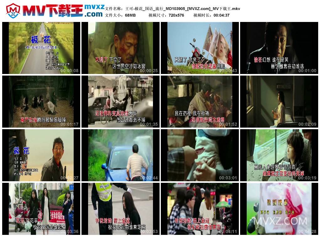 王可-极花_国语_流行_MD103905